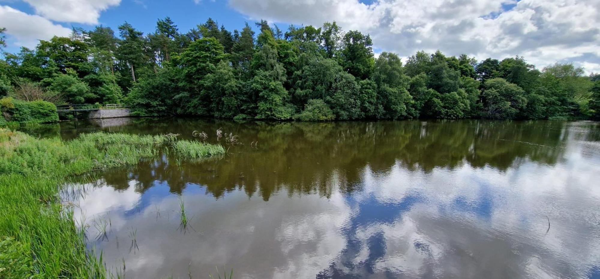 Boat House Middleton Hall Estate 贝尔福德 外观 照片
